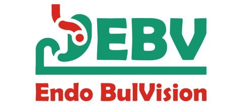 Endo BulVision (EBV)